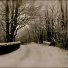 Winter In Kilsyth,Scotland