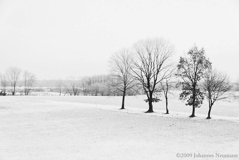 Winter in Klosterheide bei Lindow (Mark) in Brandenburg