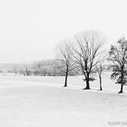 Winter in Klosterheide bei Lindow (Mark) in Brandenburg