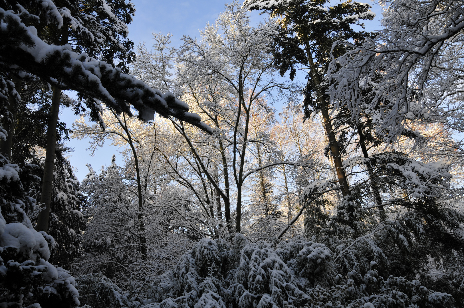 Winter in Köln