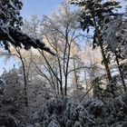 Winter in Köln