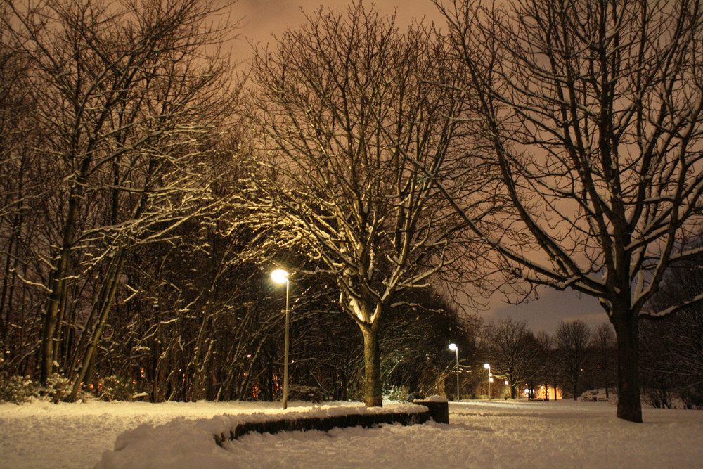 Winter in Köln