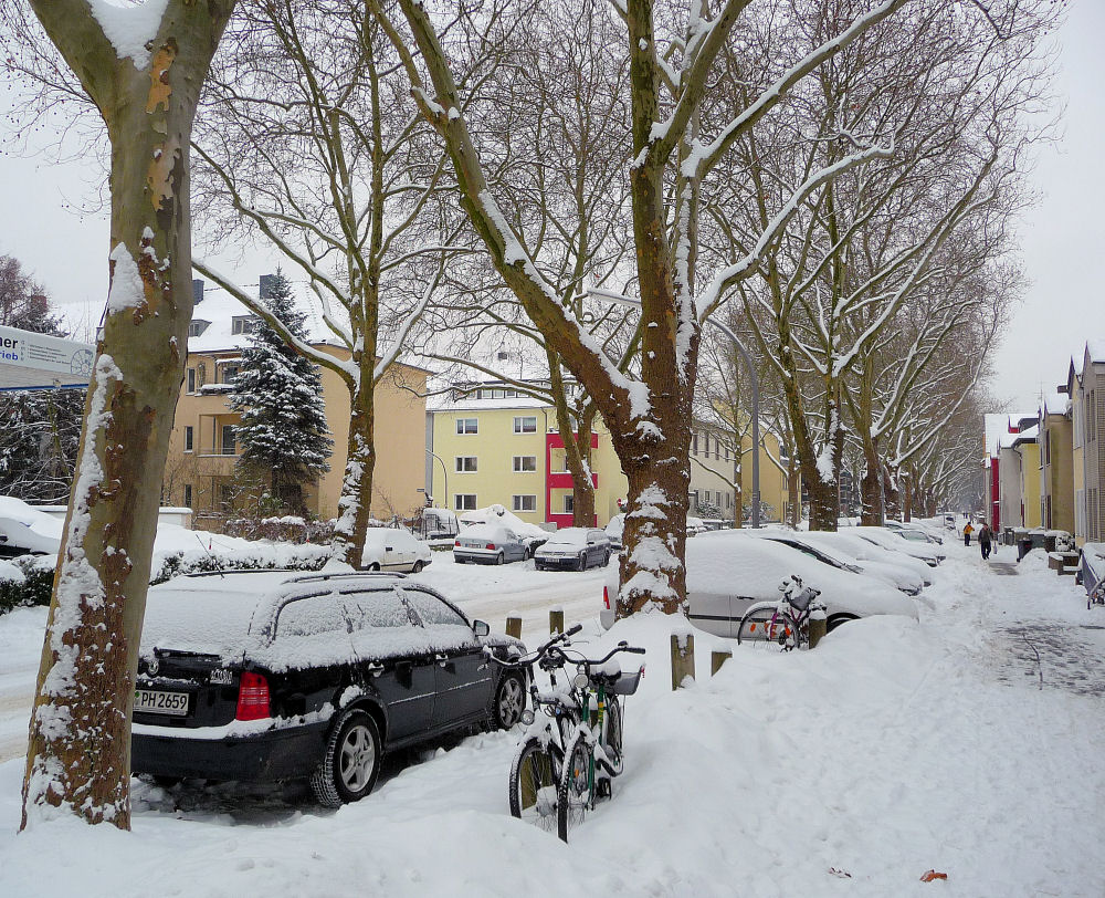 Winter in Köln-Sülz