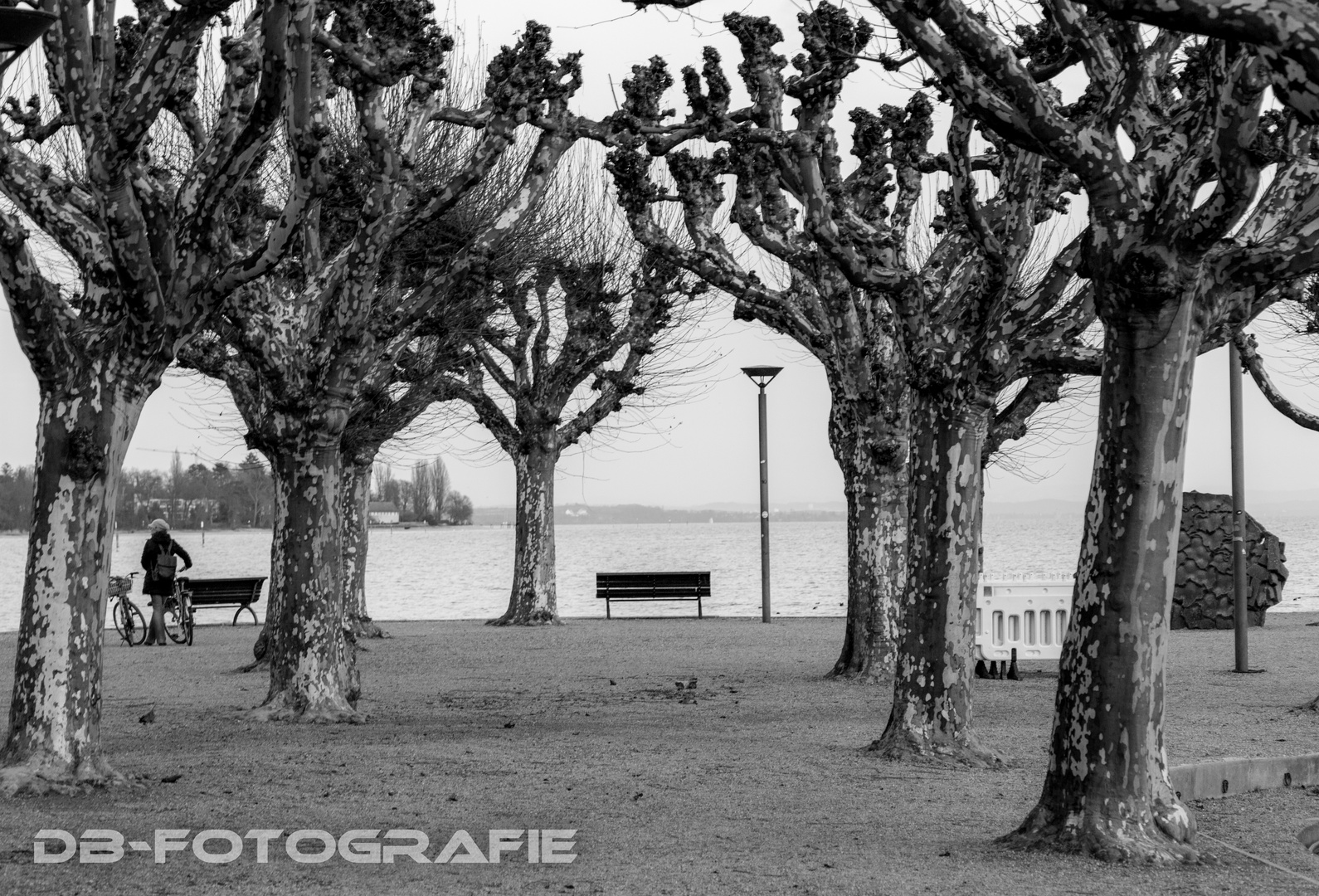 Winter in Konstanz