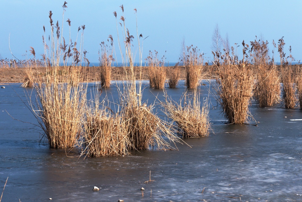 Winter in Kreuzlingen