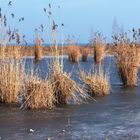 Winter in Kreuzlingen