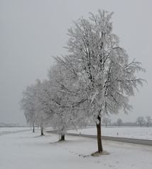 Winter in Landsberg ....