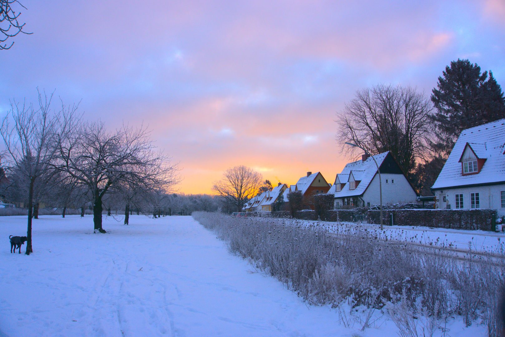 Winter in Langenhorn #2