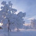 Winter in Lappland