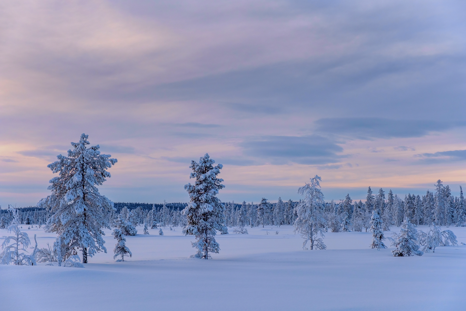 Winter in Lappland