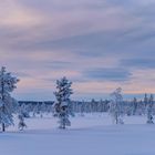 Winter in Lappland