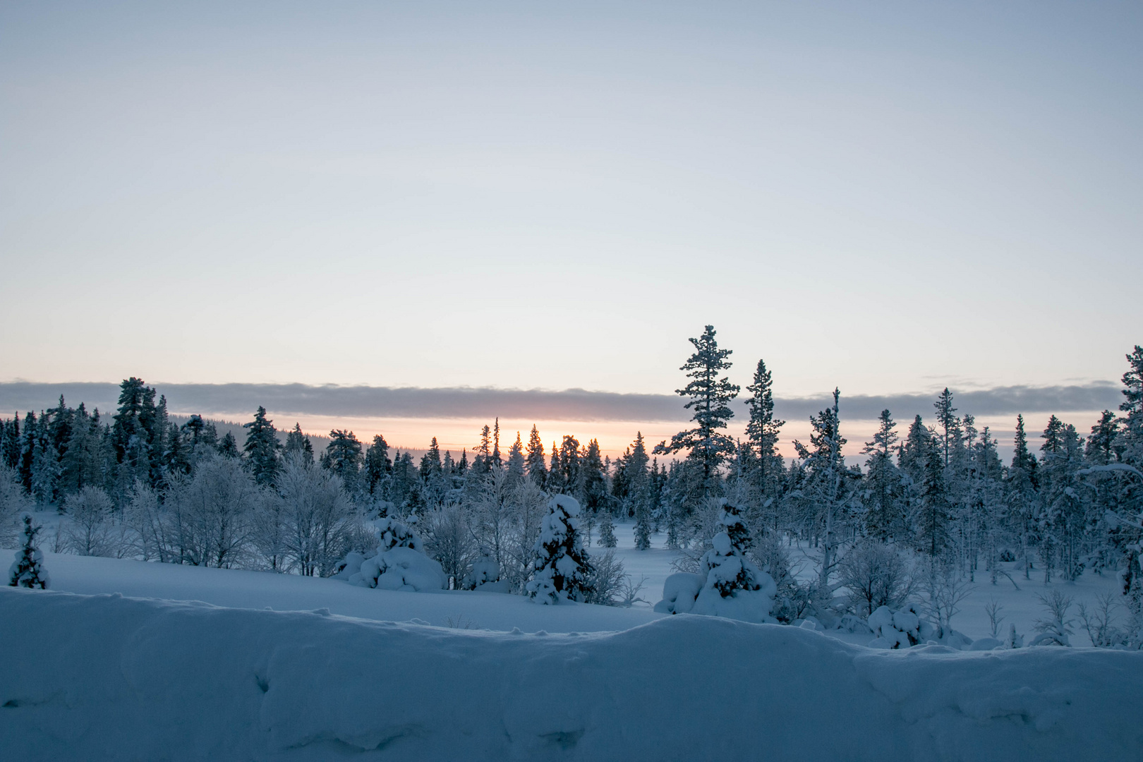 Winter in Lappland