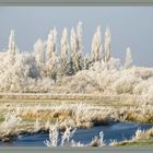 Winter in Laßrönne