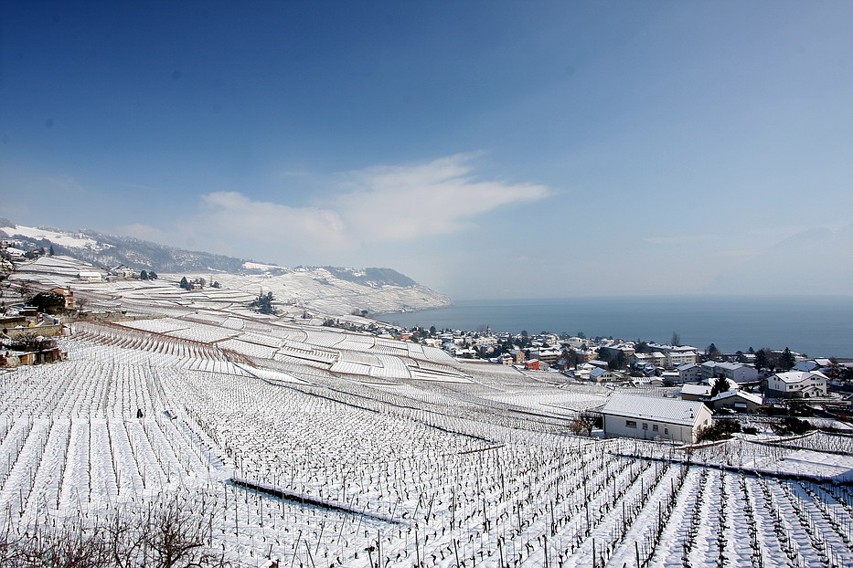 Winter in Lavaux