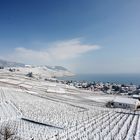 Winter in Lavaux