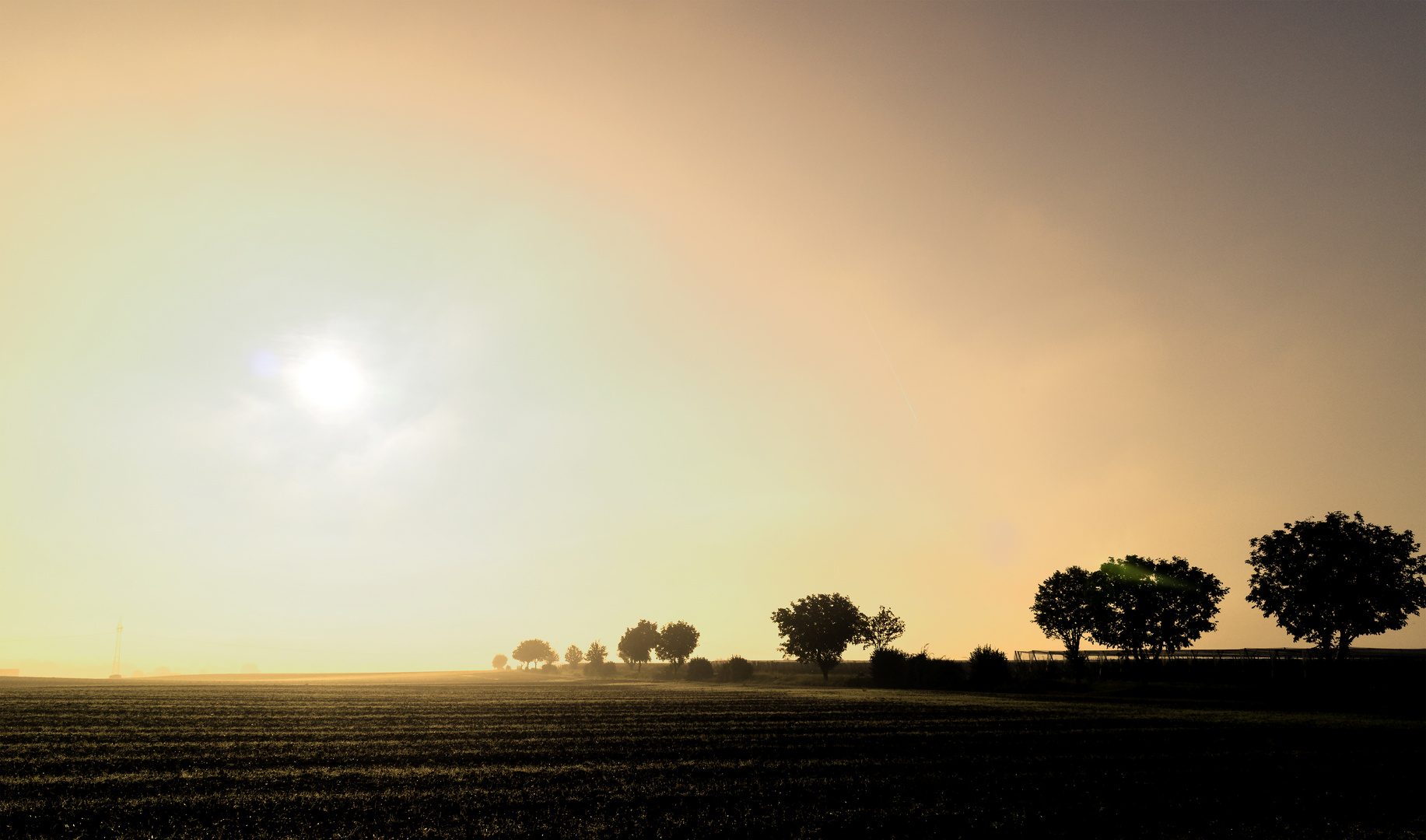 Winter in lemon-light ...