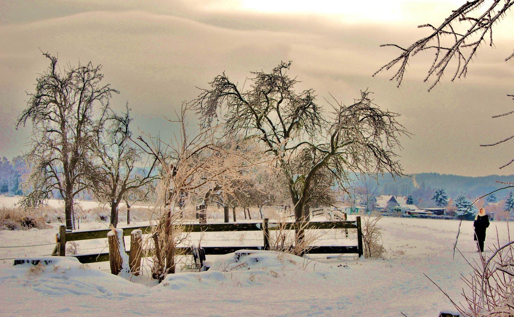 Winter in Liebenburg 041