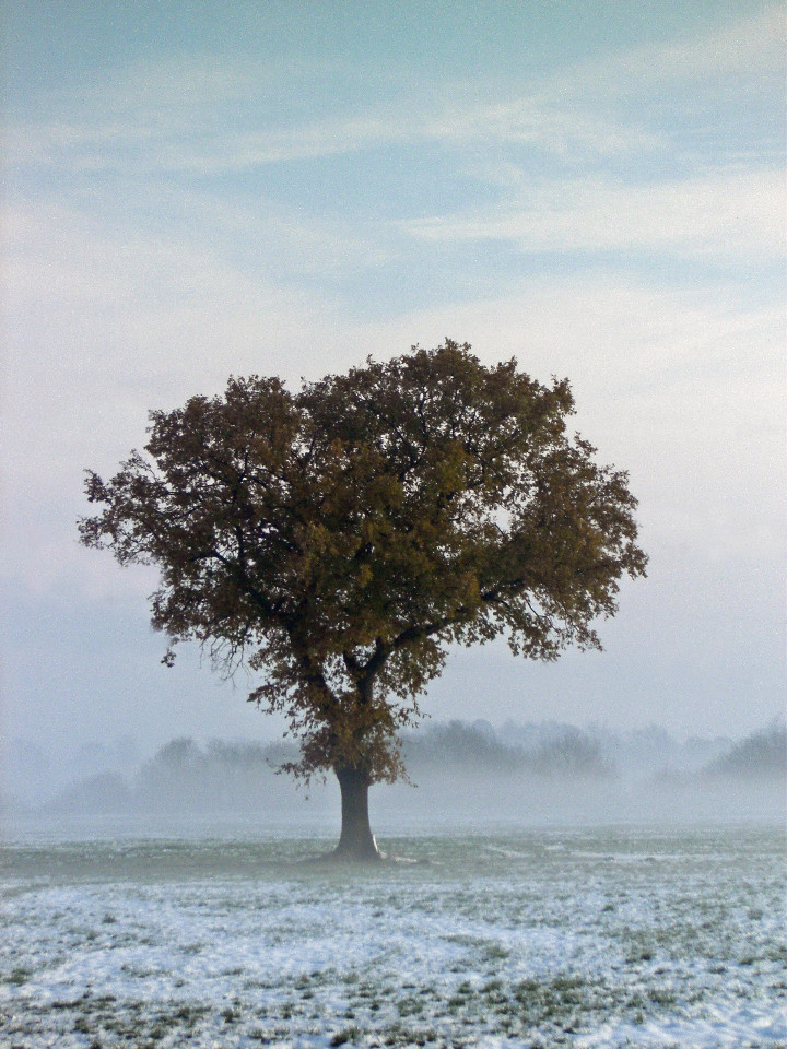 Winter in Lilienthal