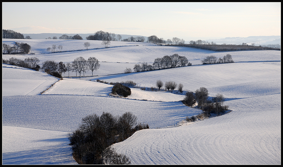 Winter in Limburg # 1