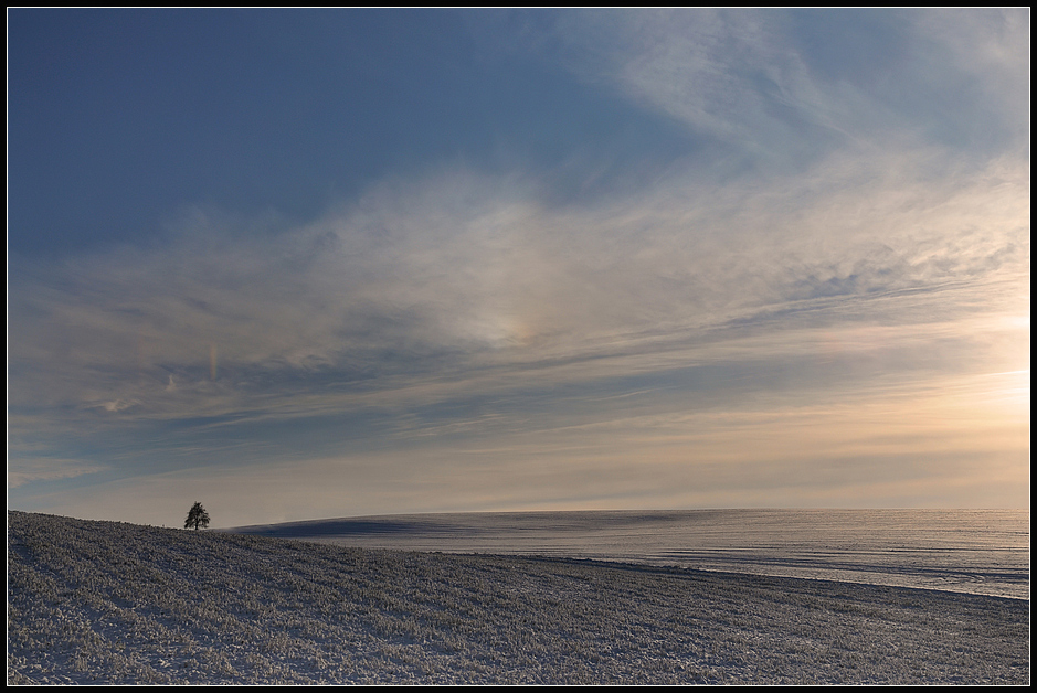 Winter in Limburg # 4