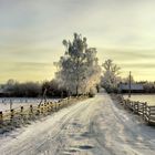 winter in Lithuanian village 2008