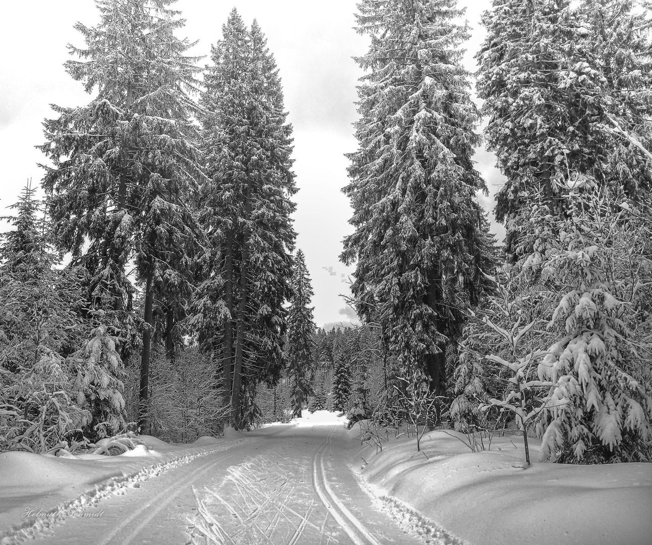 Winter in Lohberg auf der Scheiben