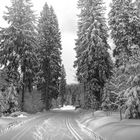 Winter in Lohberg auf der Scheiben