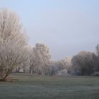 Winter in Lohbrügge