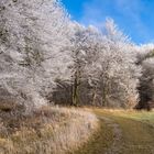 Winter in Loogh / Eifel