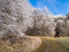 Winter in Loogh / Eifel