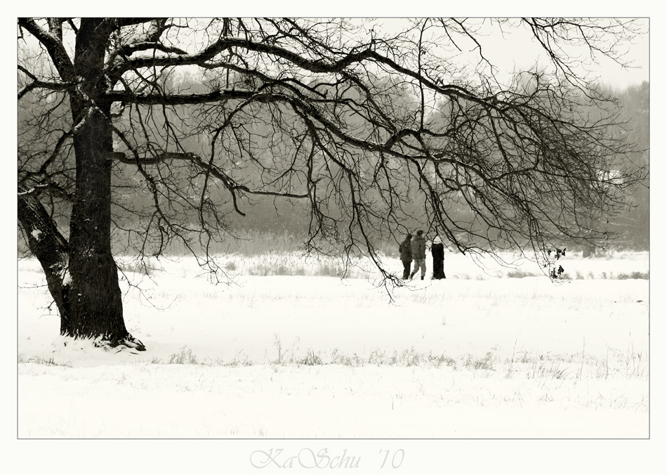 Winter in Lübars V