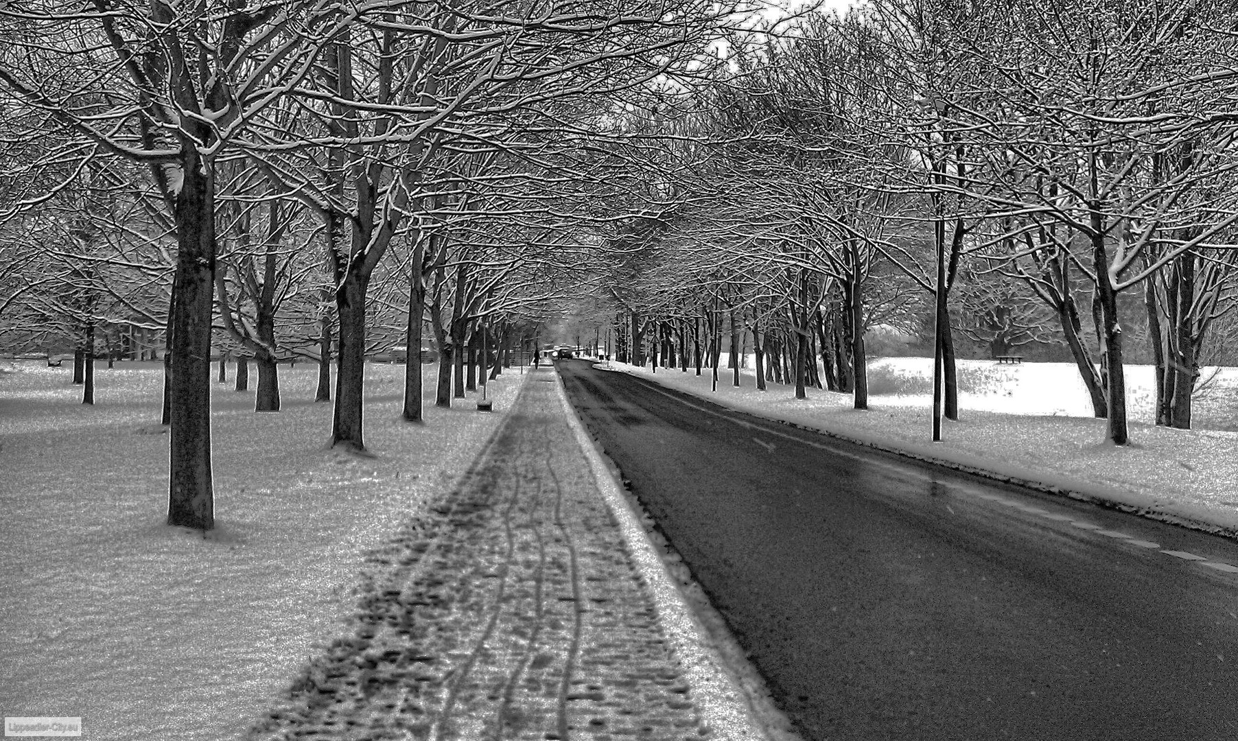 Winter in Lünen an der Marie Juchaz Straßeq