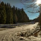 Winter in Luisengrün