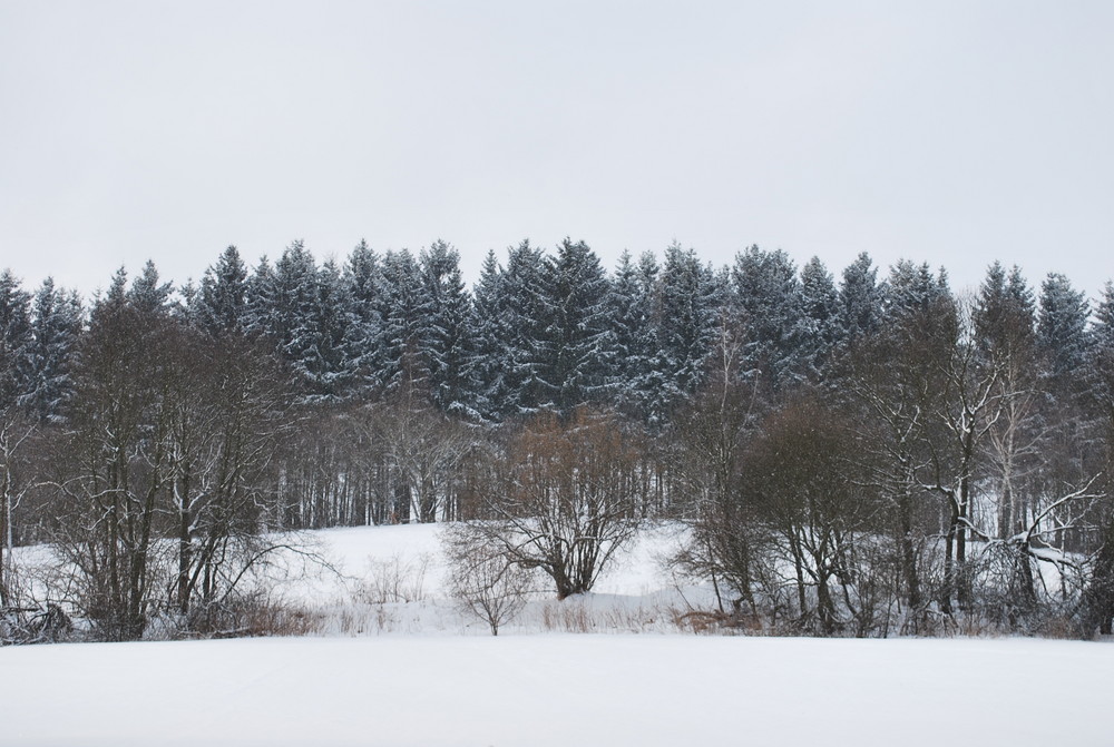 Winter in Marienberg