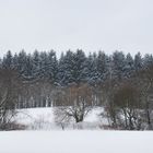 Winter in Marienberg