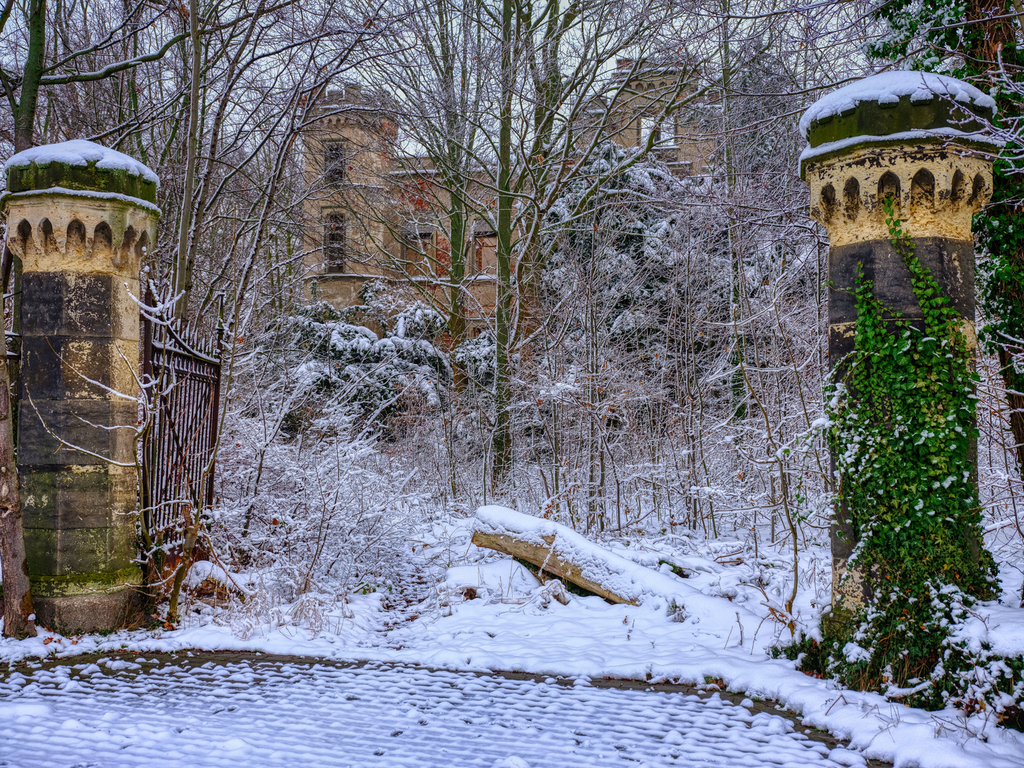 Winter in Marodistan