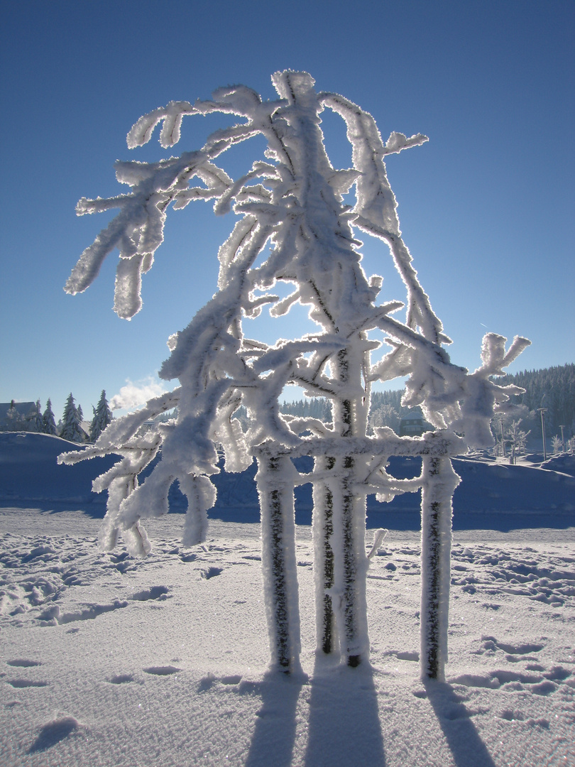 Winter in Masserberg/Rennsteig