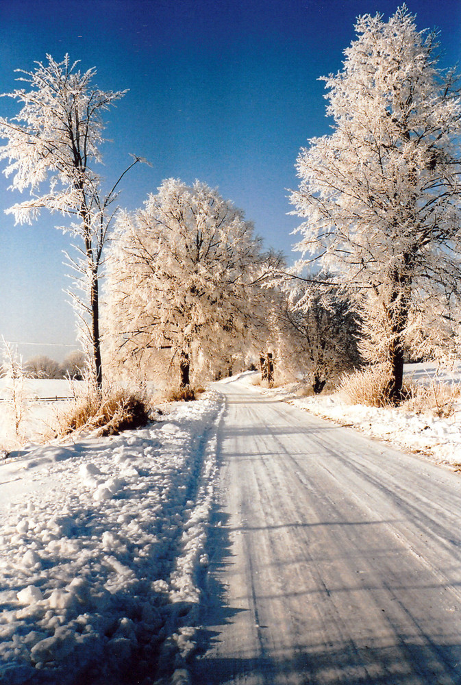 Winter in Masuren