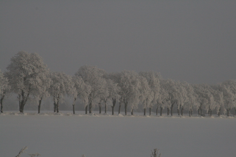 Winter in Meck-Pomm