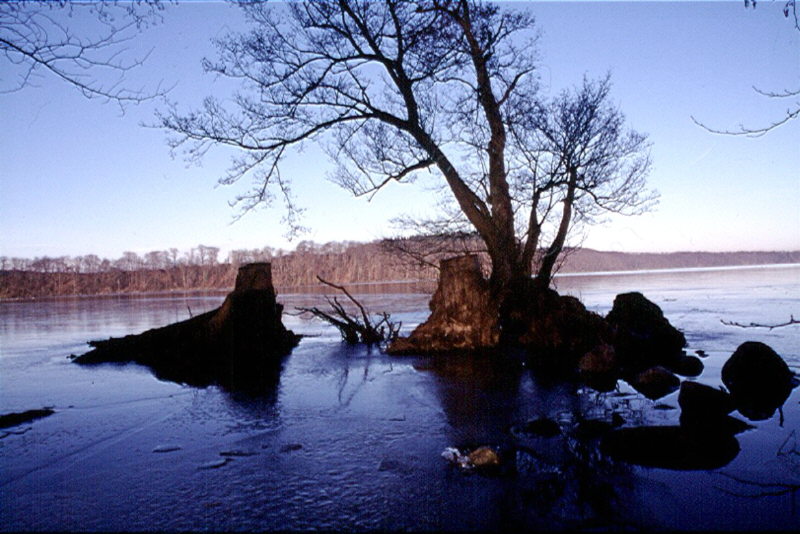 Winter in Mecklenburg (3)