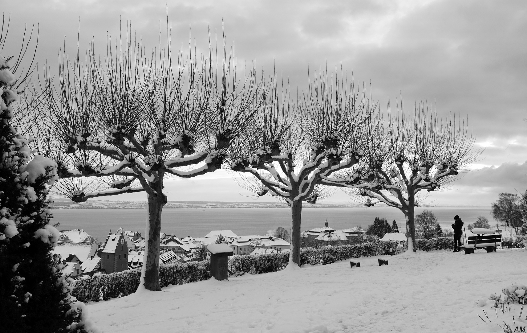 Winter in Meersburg 