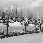 Winter in Meersburg 