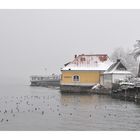 Winter in Meersburg -4-