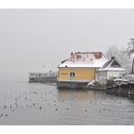 Winter in Meersburg -4-