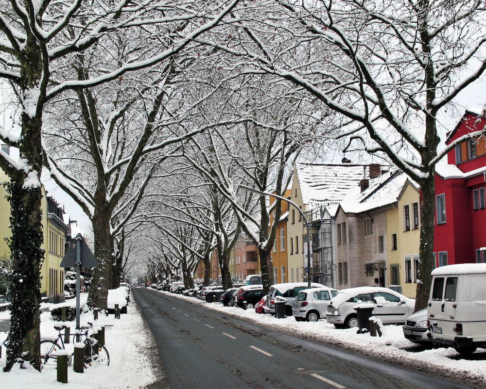 Winter in meiner Nähe