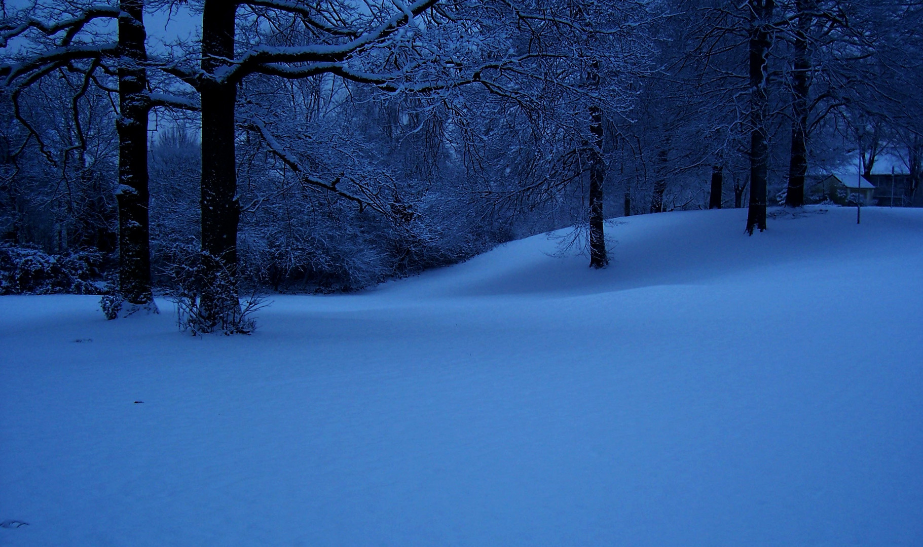 Winter in meiner Stadt I