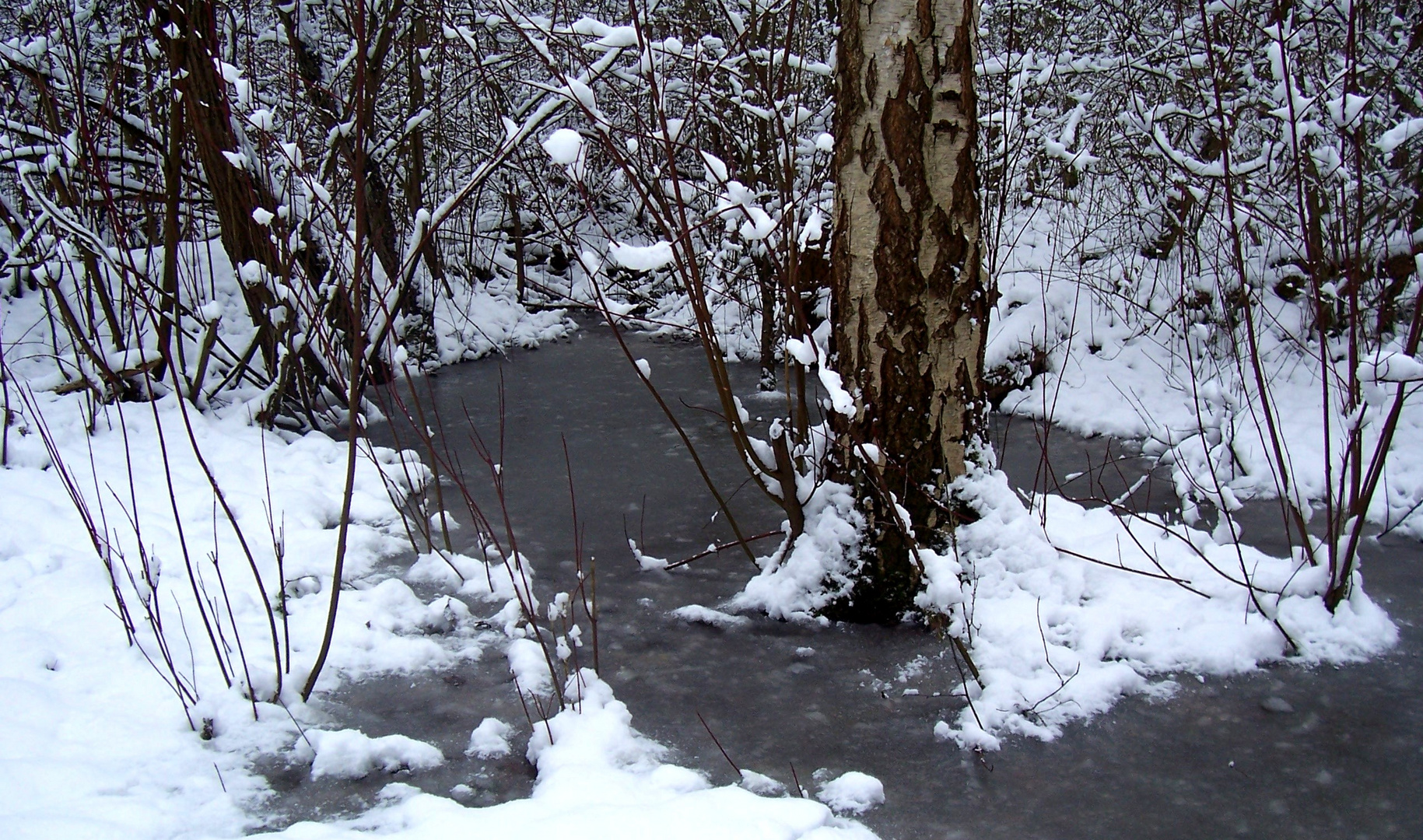 Winter in meiner Stadt IV