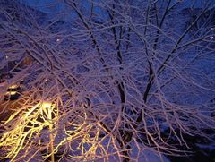 Winter in meiner Straße