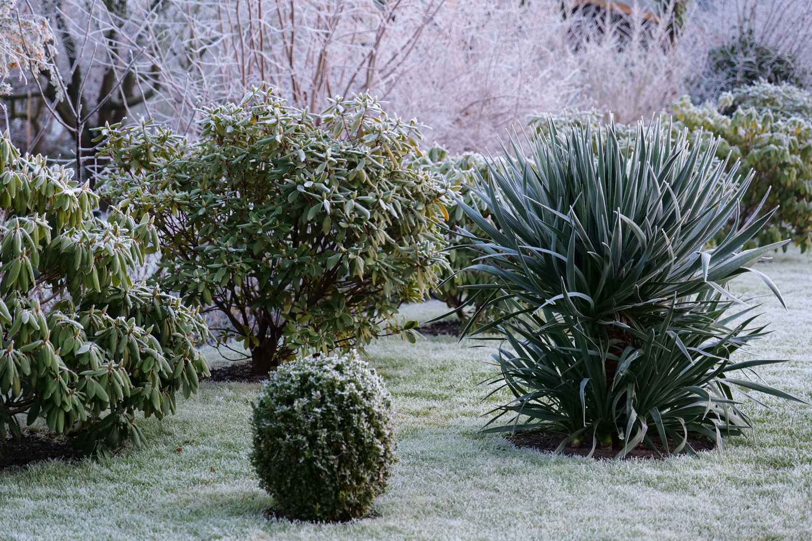 Winter in Meinersen