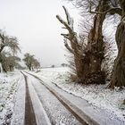 Winter in Melsungen